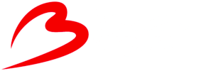 Aéroport_Bruxelles_2014_(logo)