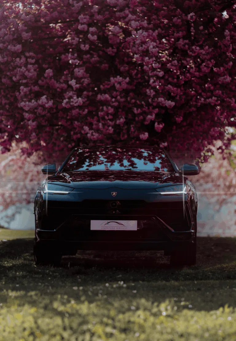 Urus v3